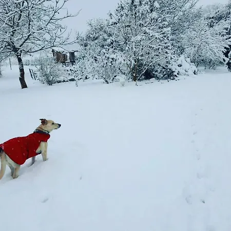 Gospodarstwo wiejskie Dobre Czasy *